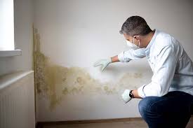 Best Mold Removal for HVAC Installations  in De Kal, TX